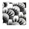 USA 20 Pairs False Eyelashes Soft Natural Extension Black 3D Makeup Lashes Black - 20Pairs